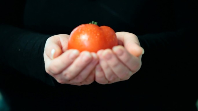 女人们的手拿着一个漂亮的红色新鲜番茄，背景是黑色的。自由度