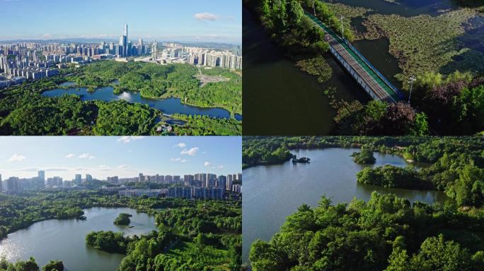 4K航拍绿色生态城市