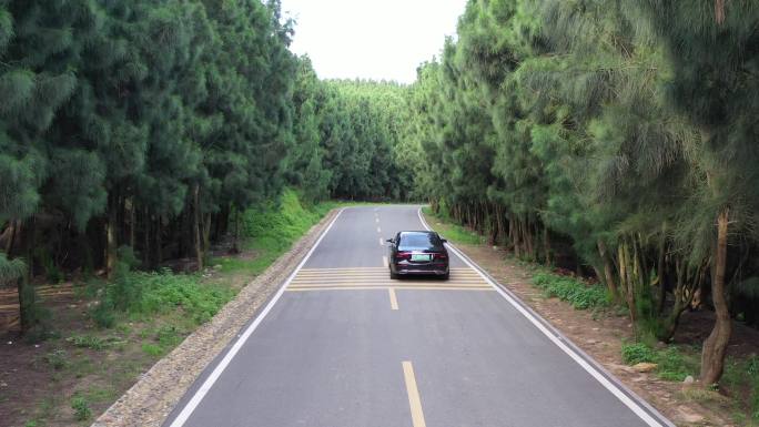 汽车公路尽头驶来汽车行驶在树林森林公路中