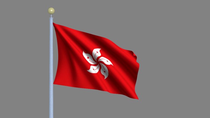 迎风飘扬的香港区旗