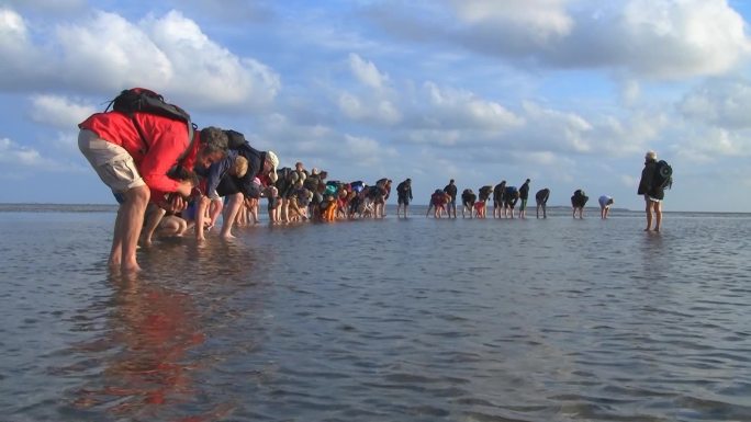 在瓦登海徒步旅行