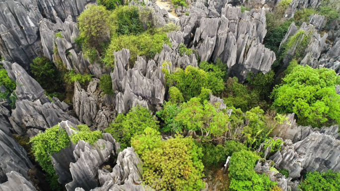 4K昆明石林风景区
