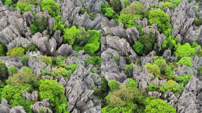 4K昆明石林风景区