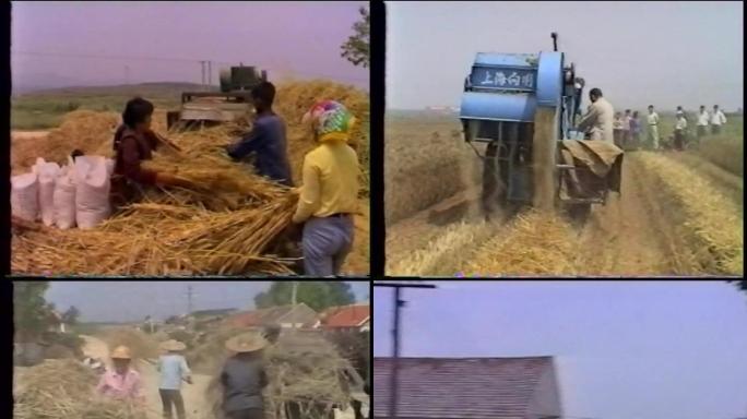 老影像资料-上世纪山东地区麦收实拍