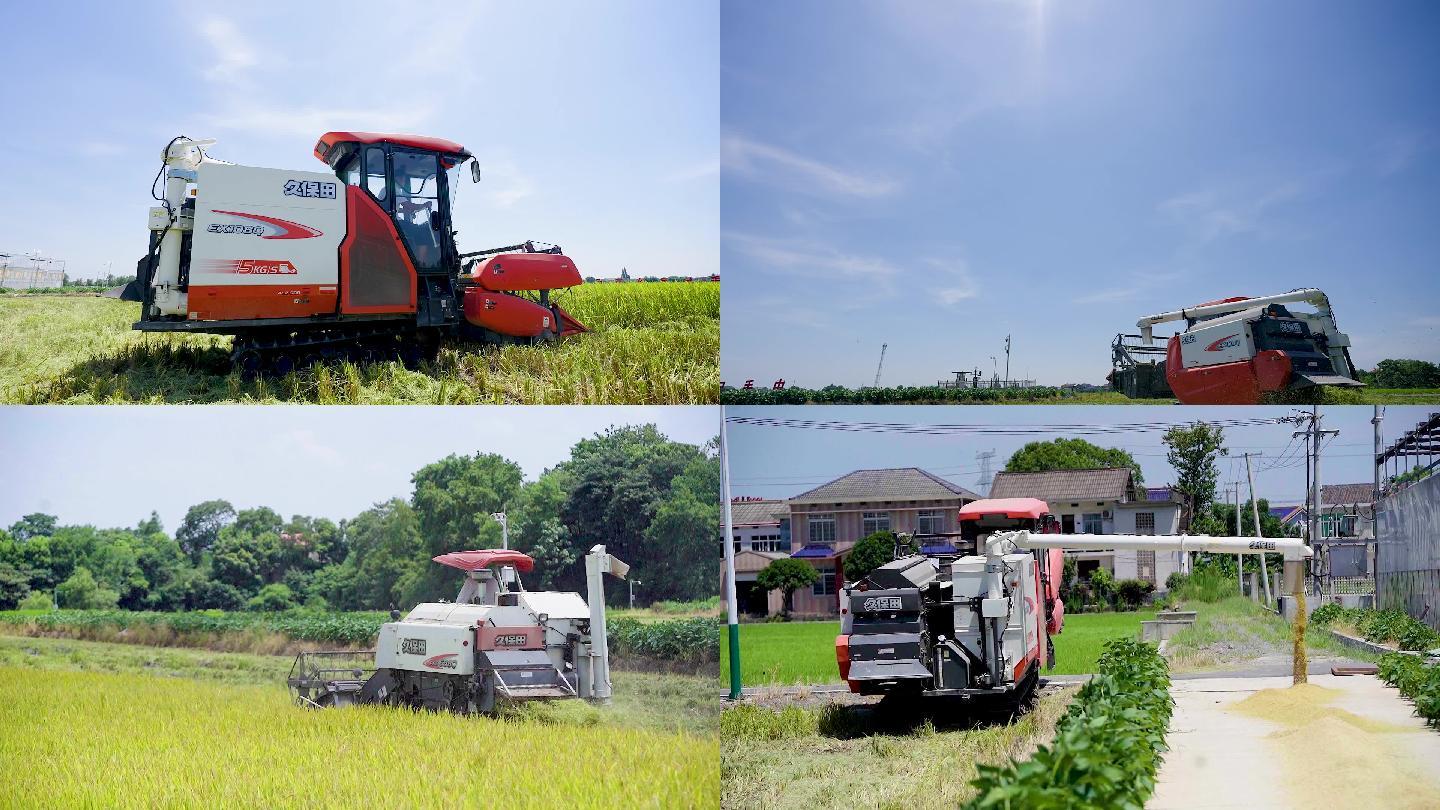农忙季节水稻收割机工作合集4
