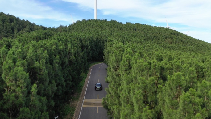 汽车行驶在森林公路旅行自驾游