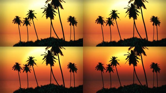 热带岛屿日落，棕榈树，海浪和雾。主题：自然，度假，旅游，目的地，海洋，热带，夏天，天堂，旅游。。。
