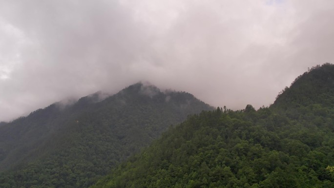 航拍 云南 大山 美景  风景 花草