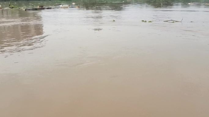 暴雨如注大河水猛涨洪水滔滔河水涨满流走