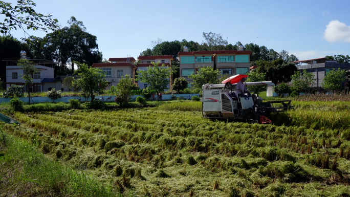 农村现代化稻田机械耕种丰收场景