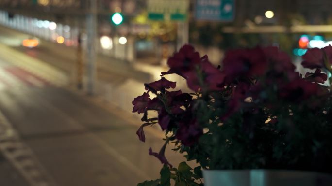 夜晚道路交通车流