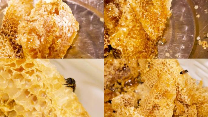 蜂巢蜂蜜特写