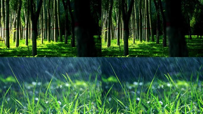 夏季绿地绿化园林灌溉6