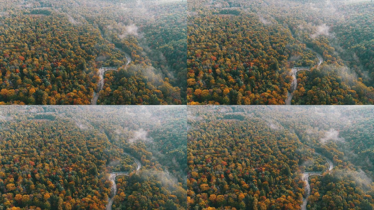 航拍长白山森林秋色