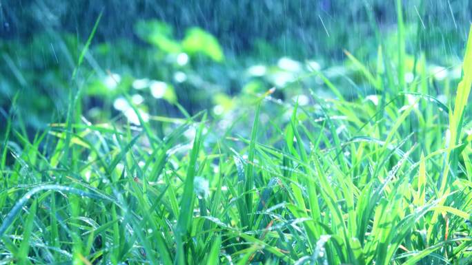 夏季绿地绿化园林灌溉5