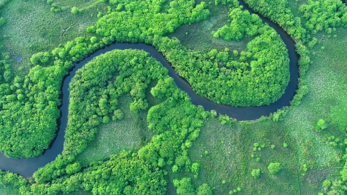 航拍湿地河湾风景