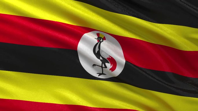 乌干达国旗迎风飘扬。无限循环