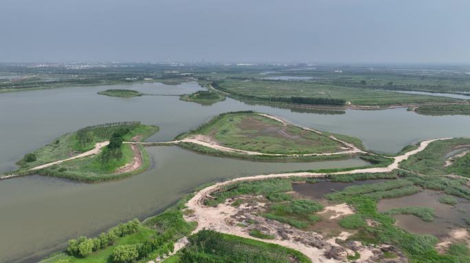 东营园博园湿地航拍