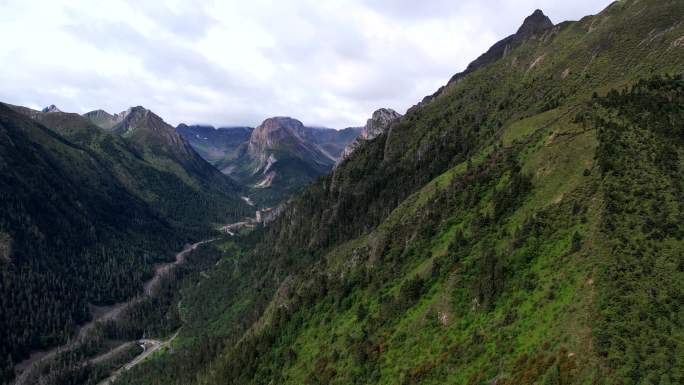 航拍 云南 大山 美景  风景 花草