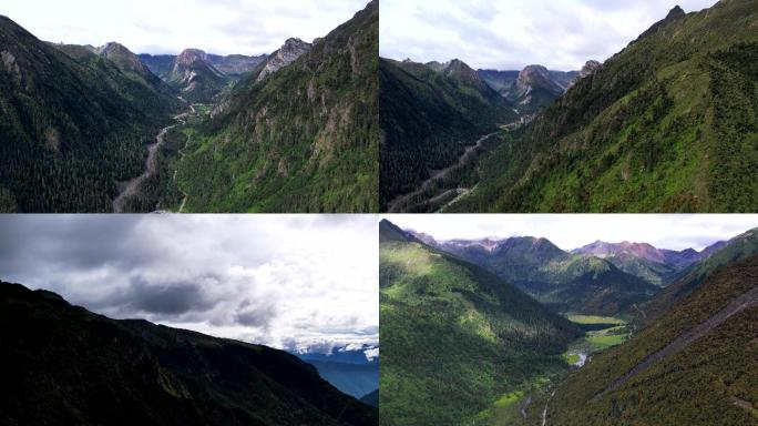 航拍 云南 大山 美景  风景 花草