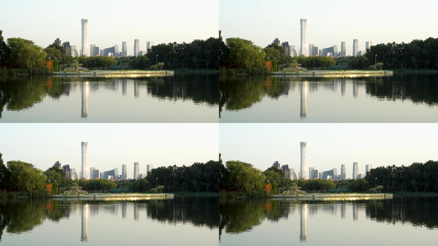 北京CBD地标建筑野鸭游过水面