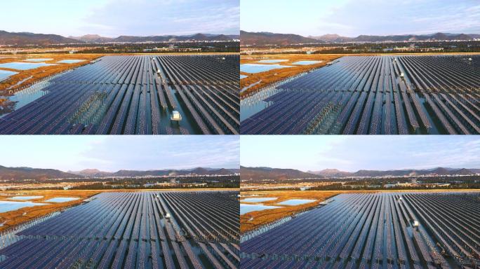 华能清港滩涂渔光互补光伏电站一角直飞2