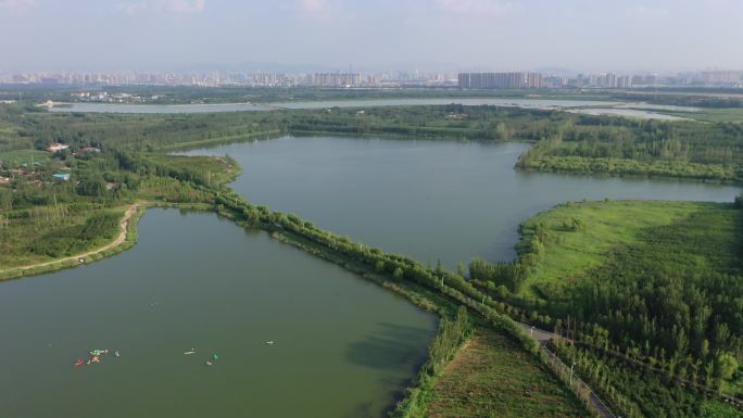 山东济南：市民龙湖湿地划船野泳纳凉