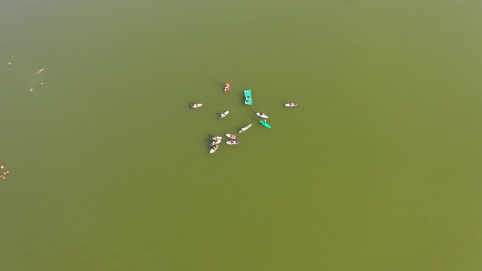 山东济南：市民龙湖湿地划船野泳纳凉