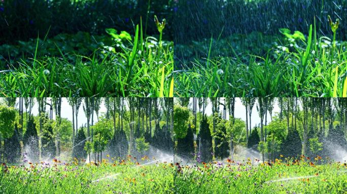夏季绿地绿化园林灌溉1