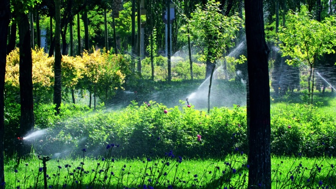 夏季绿地绿化园林灌溉