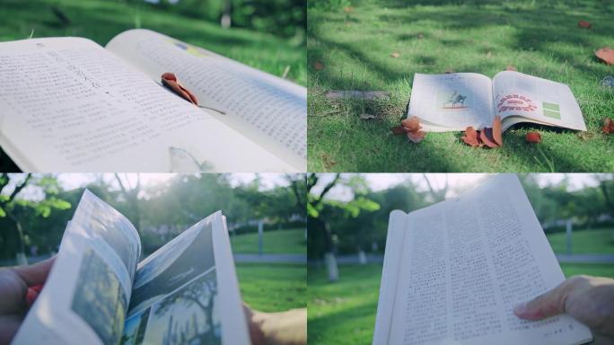 4K唯美阳光下阅读风吹书本