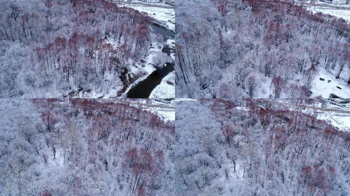 航拍大兴安岭柳林春雪