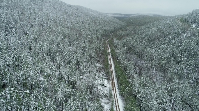 航拍大兴安岭森林春季降雪