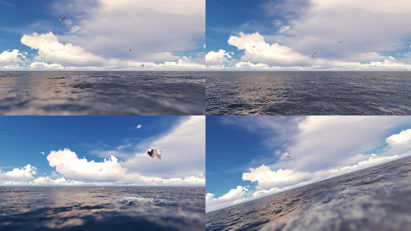 海鸥海面展翅飞翔多镜头组合素材