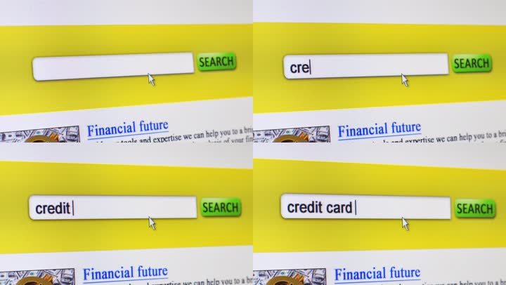 显示信用卡债务搜索的虚构搜索引擎