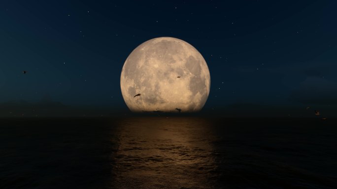 海鸥海上月亮组合
