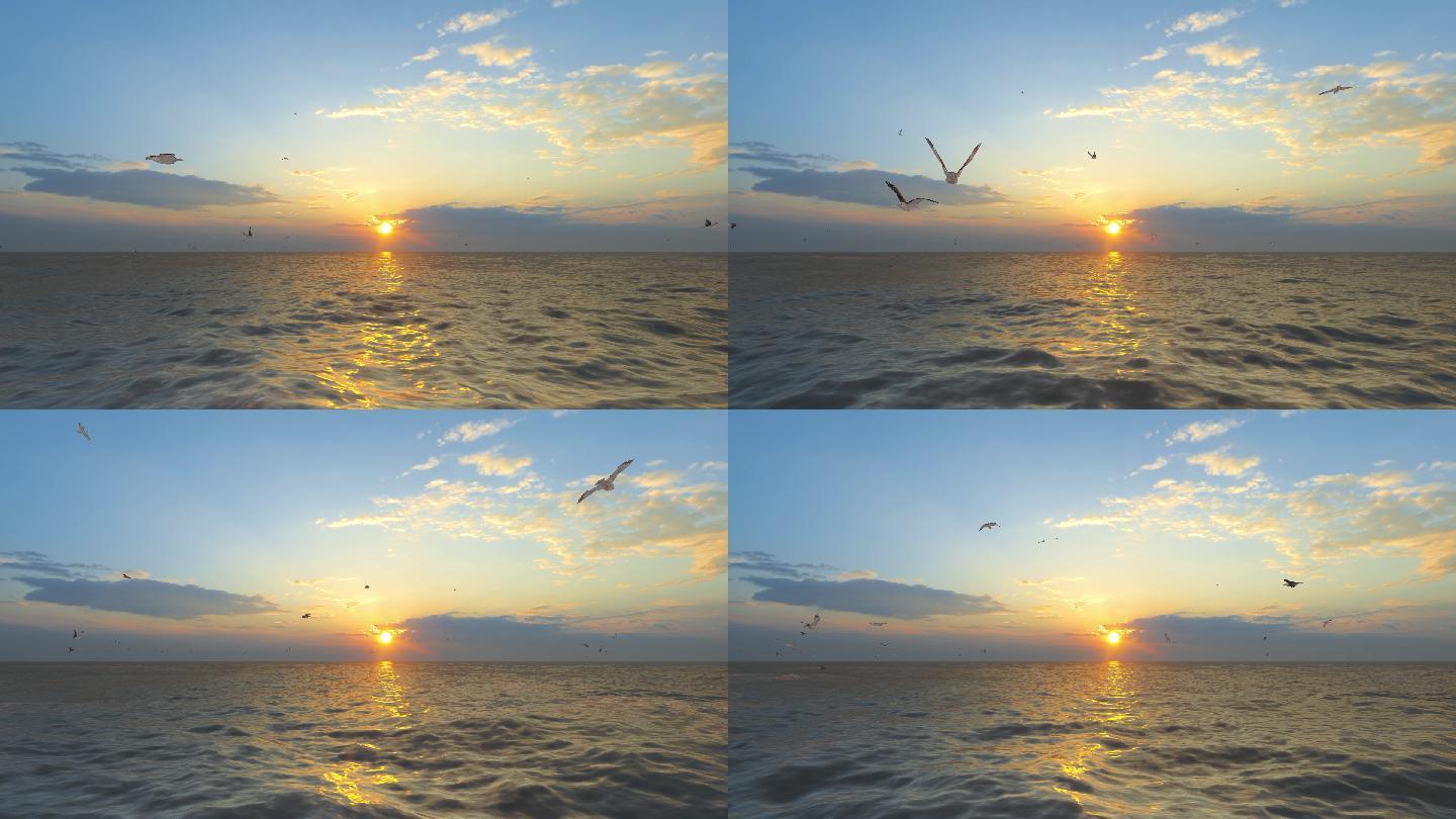 震撼大气海鸥迎着日出飞翔