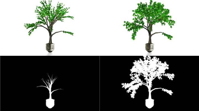 从Am老球茎生长的树木，地面反射，绿色能源概念，包括Alpha