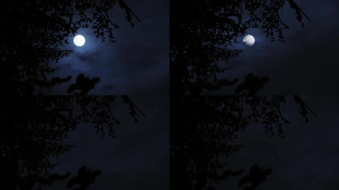 树枝树头树梢月亮月色