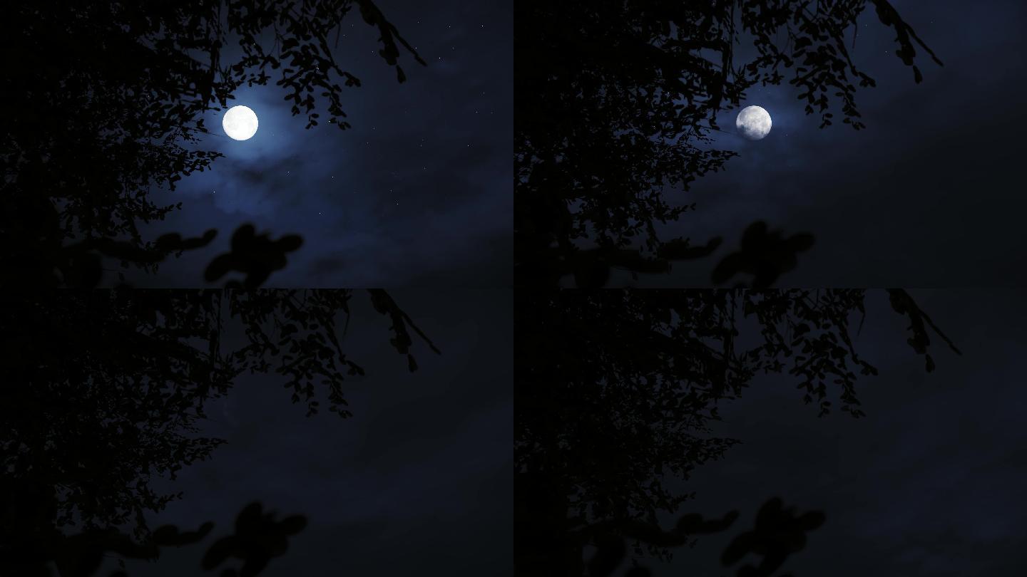 树枝树头树梢月亮月色