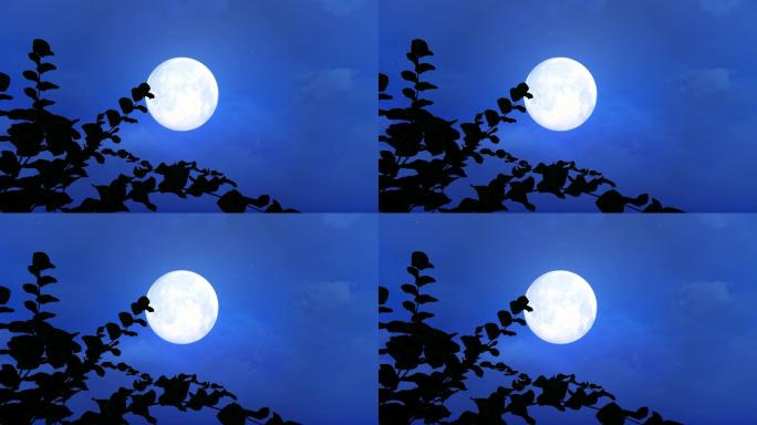 明月月亮月圆之夜