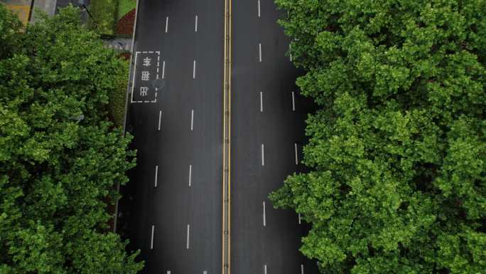 淮安雨后淮海路