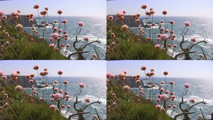 从五颜六色的鲜花草地上俯瞰大海；峭壁高耸，海中有岩石，阳光反射在水中闪闪发光；葡萄牙阿尔加维海岸；微