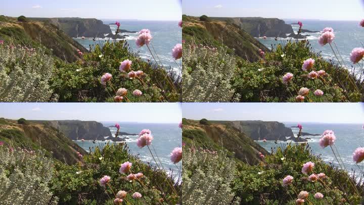 从五颜六色的鲜花草地上俯瞰大海；葡萄牙阿尔加维海岸的海上峭壁和岩石；微风，蓝天。