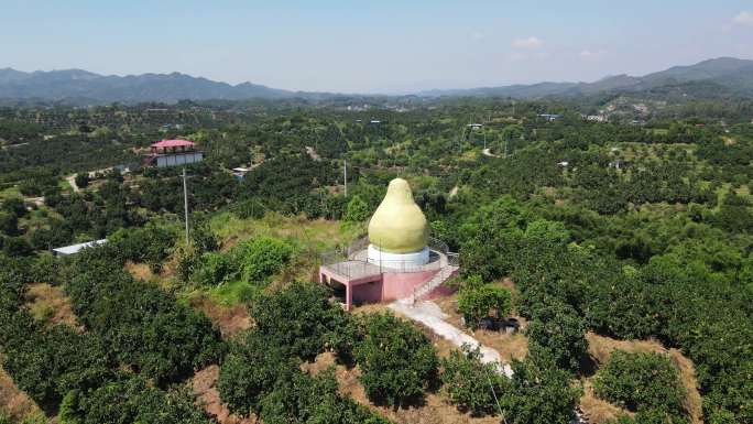 沙田柚种植基地水果雕塑山顶观光平台