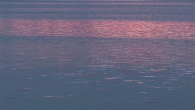 湖水在夜光中闪耀着蓝粉