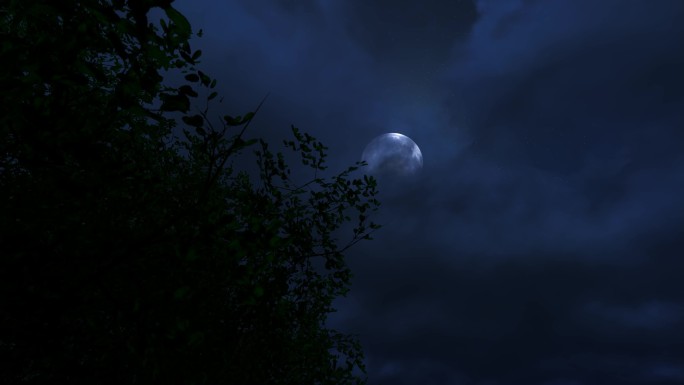 树枝树头树梢明月月亮