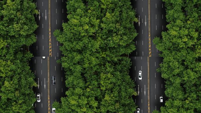 淮安雨后淮海路