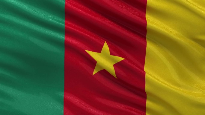 喀麦隆国旗迎风飘扬。无尽的循环。