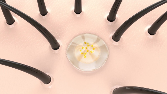 细胞修复-头发 毛囊 洗发水 精华成分